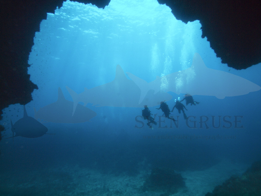 Divers in front of a cave