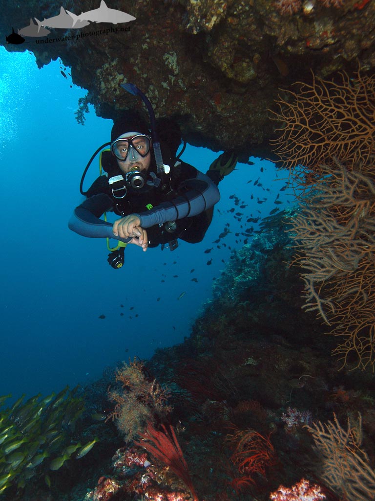 Reef