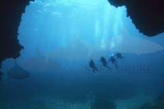 Divers in front of a cave