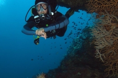 Reef